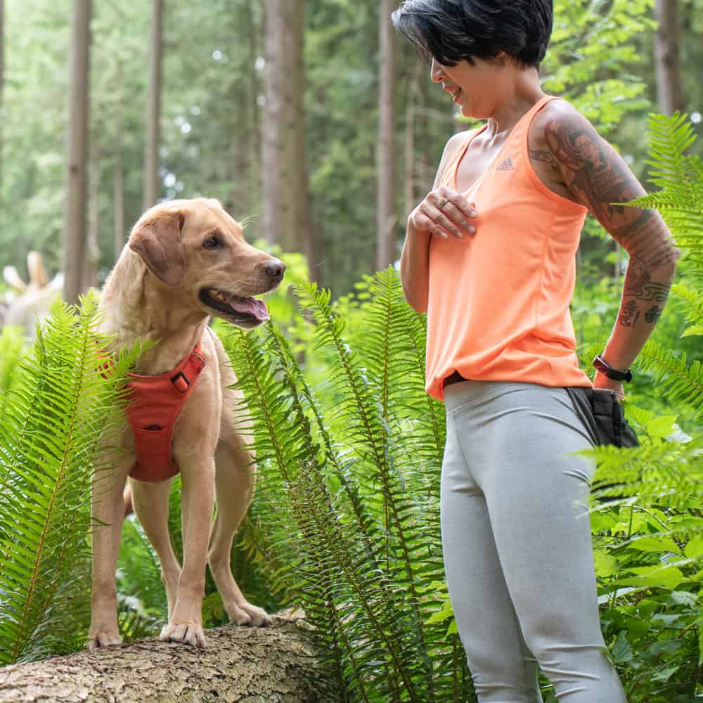 Dog sitting on a path with the owner of Happy Tails Urban Adventures in North Vancouver and West Vancouver